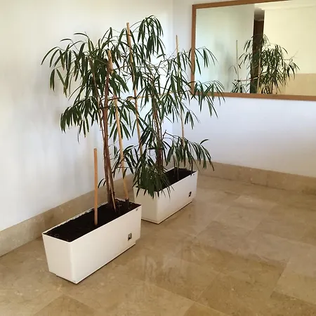 Bulevar Golf Alicante